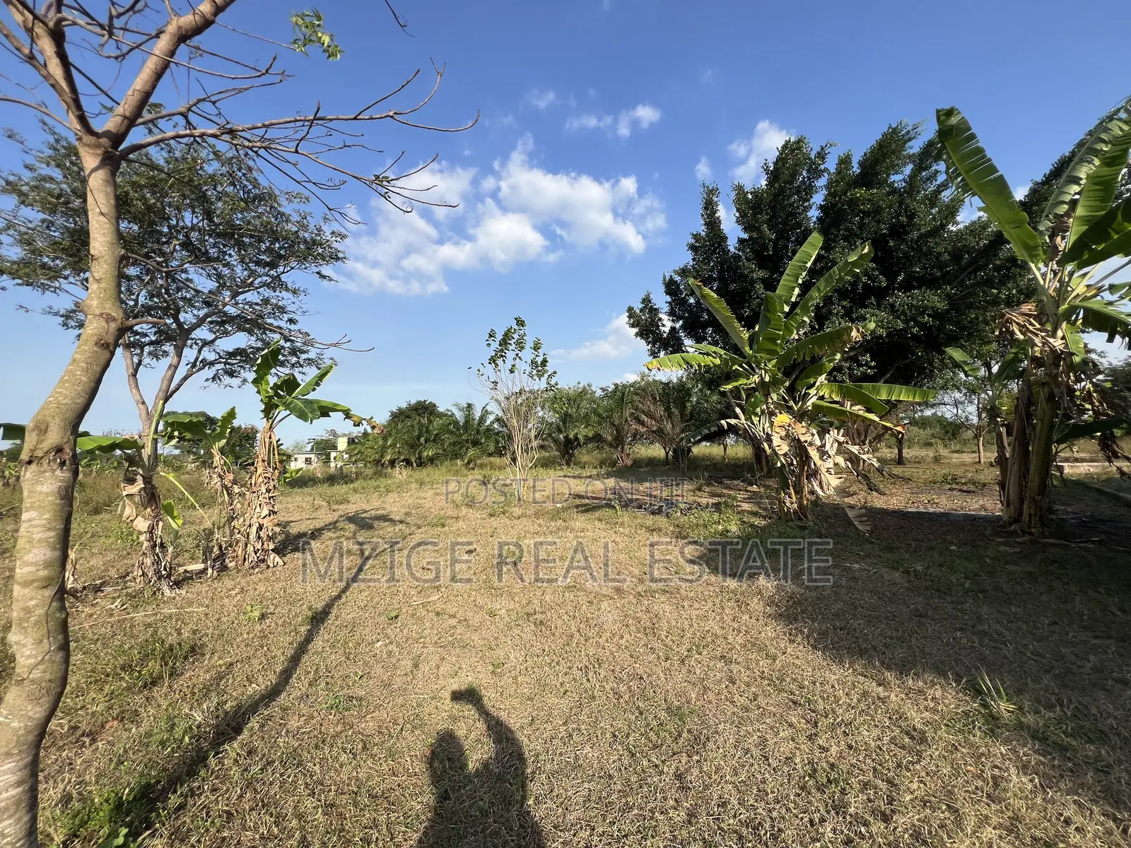 43 Acres Industrial Plot for Sale in Bagamoyo, Kidomole
