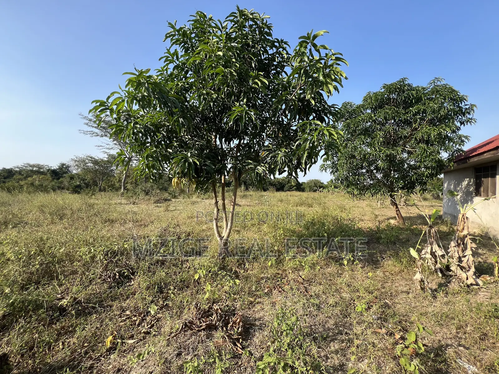 43 Acres Industrial Plot for Sale in Bagamoyo, Kidomole