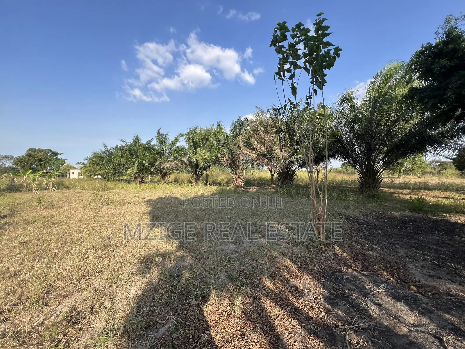 43 Acres Industrial Plot for Sale in Bagamoyo, Kidomole