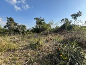 43 Acres Industrial Plot for Sale at Bagamoyo Kidomole