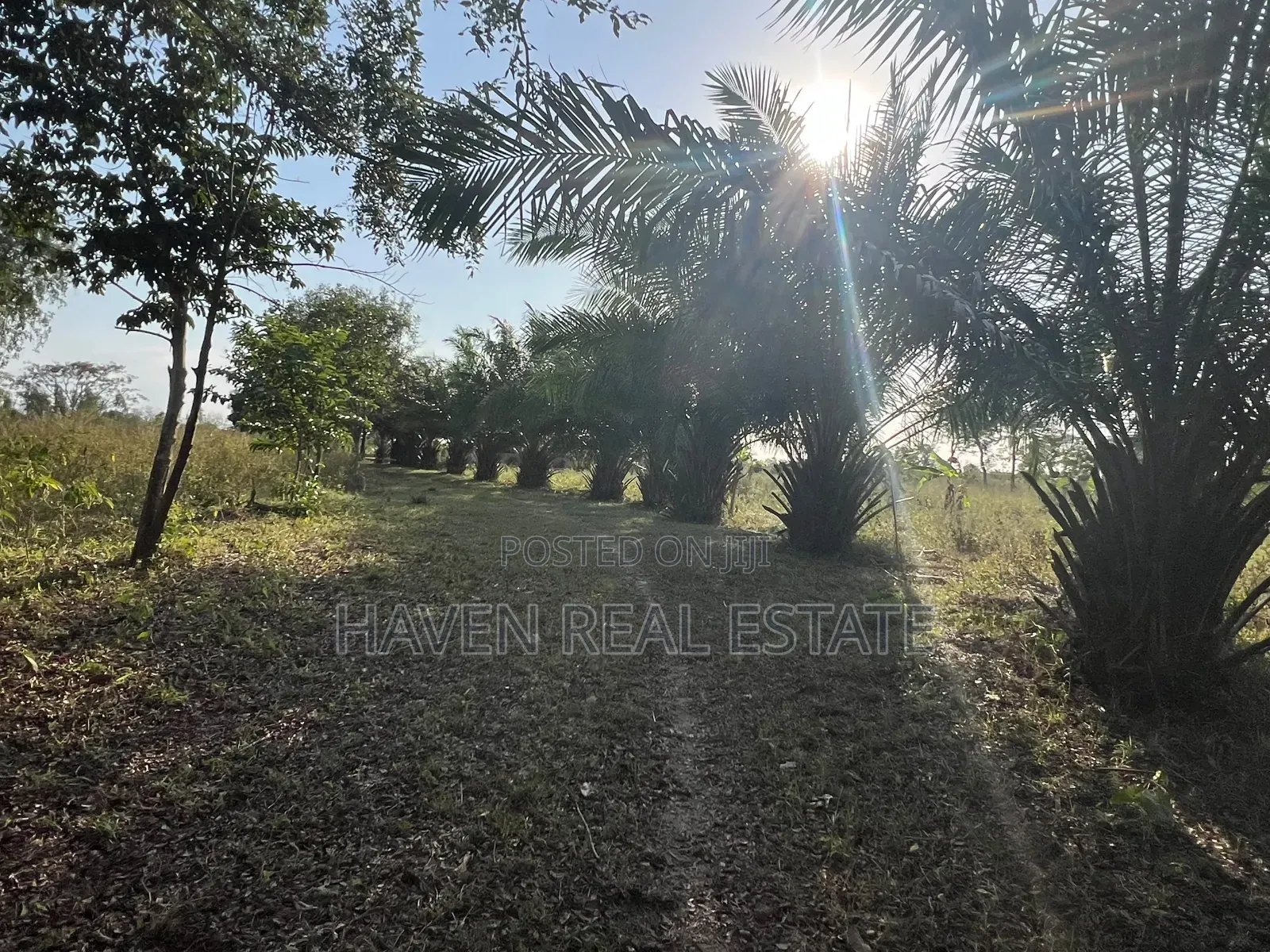 43 Acres Industrial Plot for Sale at Bagamoyo Kidomole