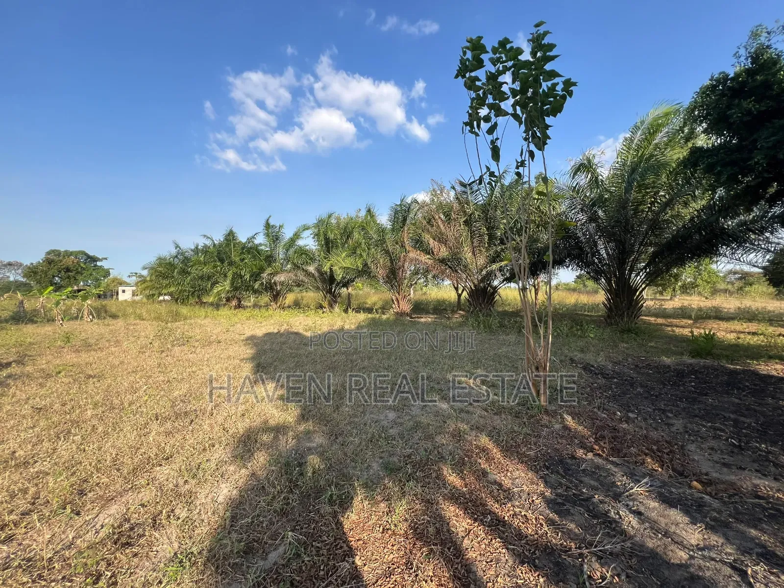 43 Acres Industrial Plot for Sale at Bagamoyo Kidomole