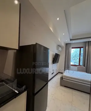 Furnished 1bdrm Apartment in Masaki for rent