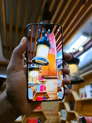 Vivo X300 256 GB