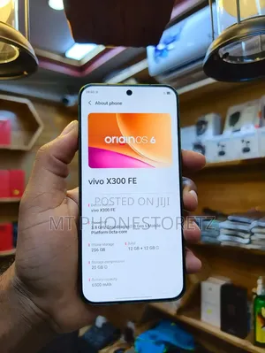Vivo X300 256 GB