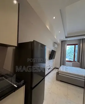 Furnished 1bdrm Apartment in Masaki for rent