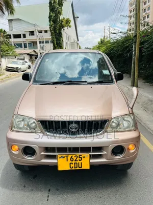 Daihatsu Terios Automatic 2004 Purple