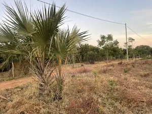 Beach Plot Inauzwa Kigamboni