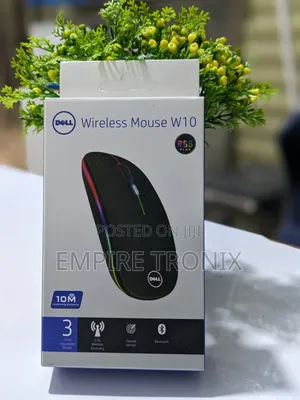 Dell W10 Wireless Mouse RGB Bluetooth 2.4G Tanzania