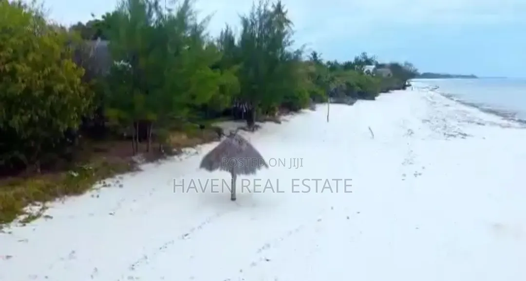 Beach Plot for Sale at Jambiani Zanzibar
