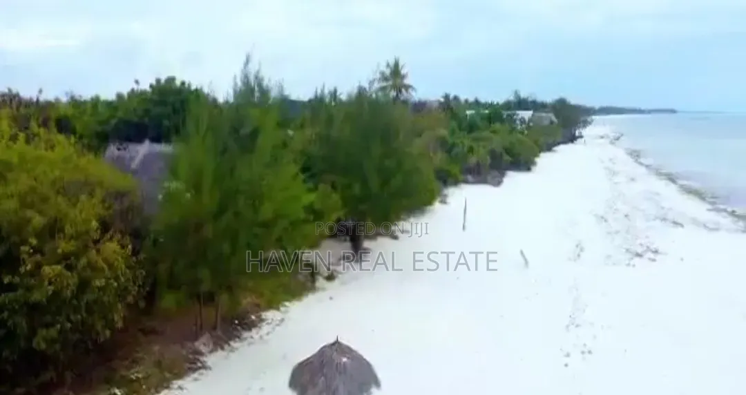 Beach Plot for Sale at Jambiani Zanzibar