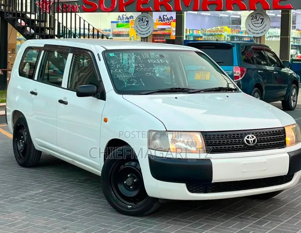 Toyota Probox 2010 Pearl
