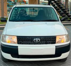 Toyota Probox 2010 Pearl