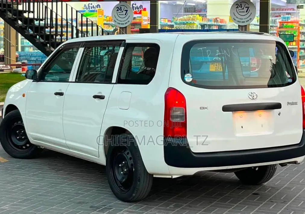 Toyota Probox 2010 Pearl