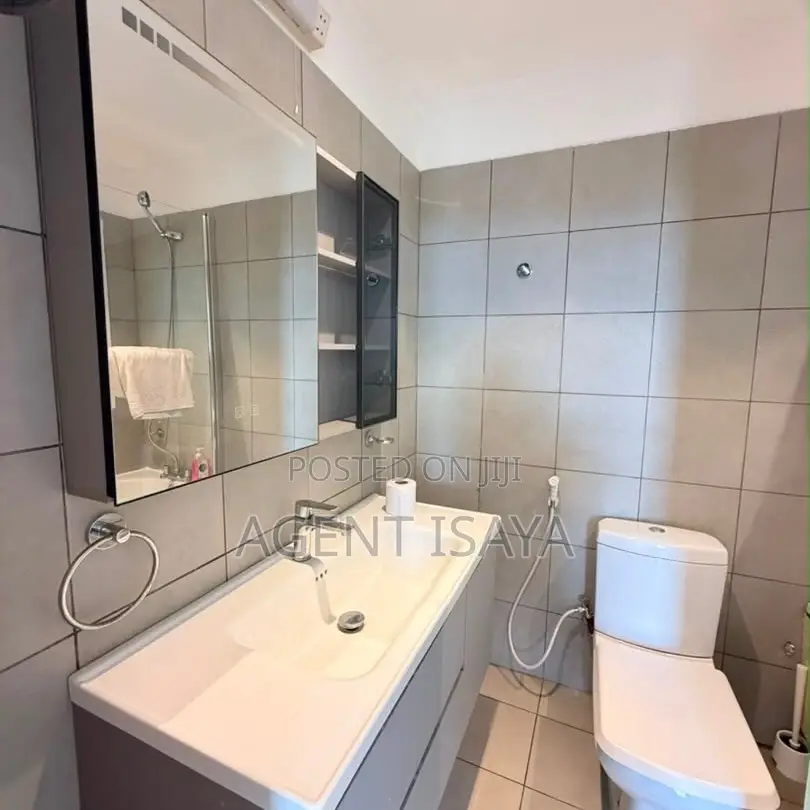 Furnished 1bdrm Apartment in Masaki for rent