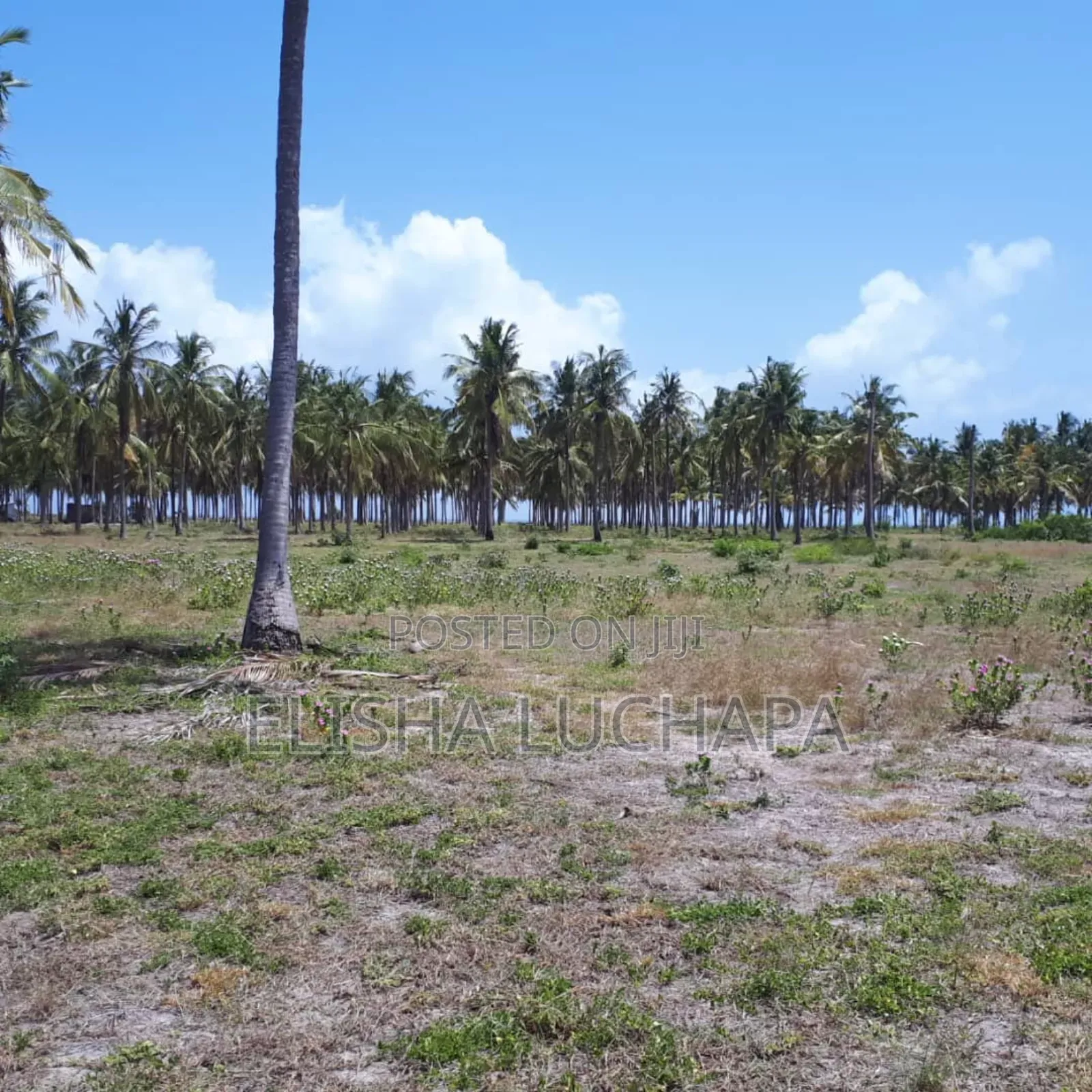 Beach Plot for Sale at Gezaulole
