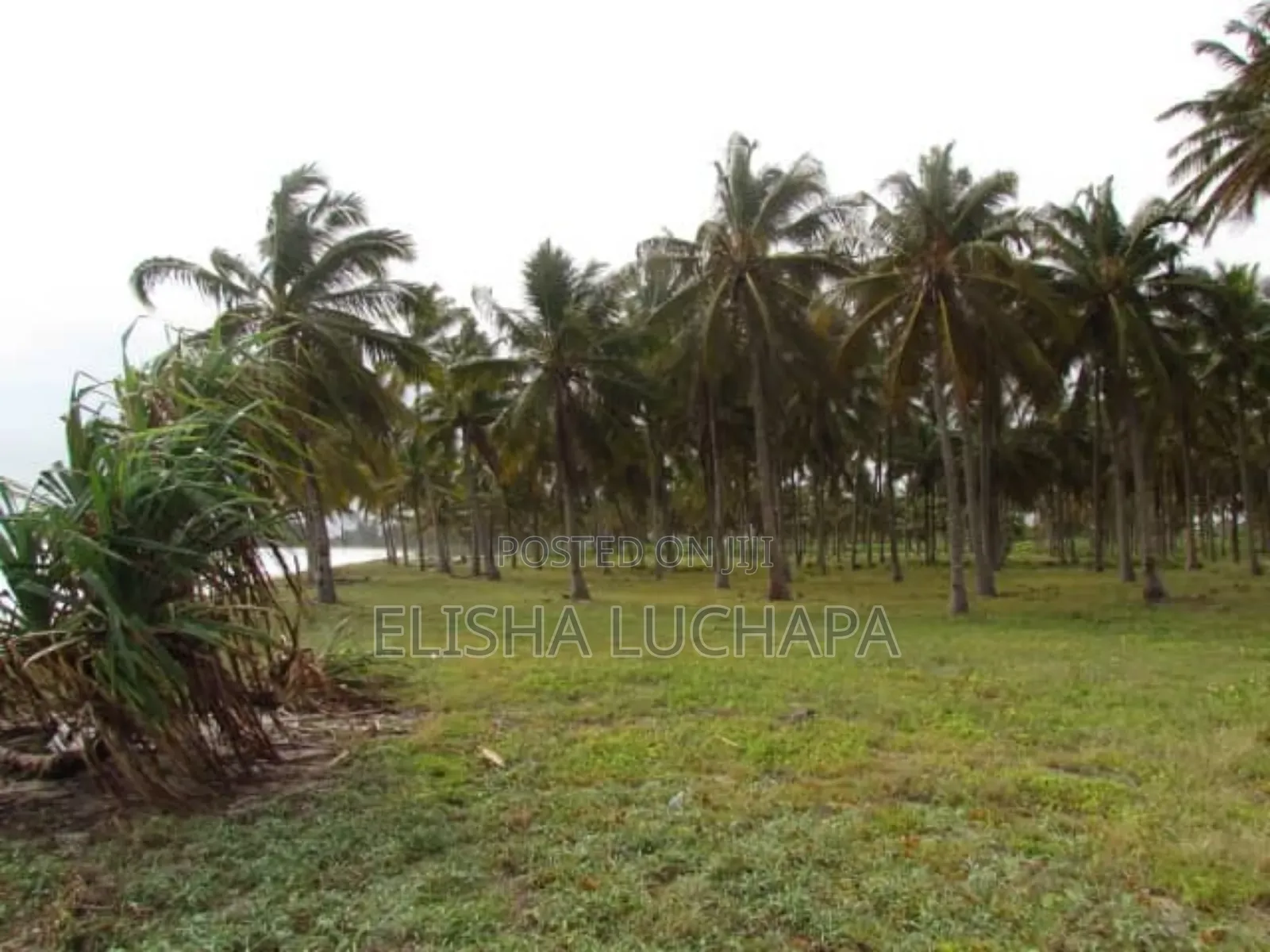 Beach Plot for Sale at Gezaulole