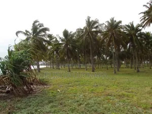 Beach Plot for Sale at Gezaulole