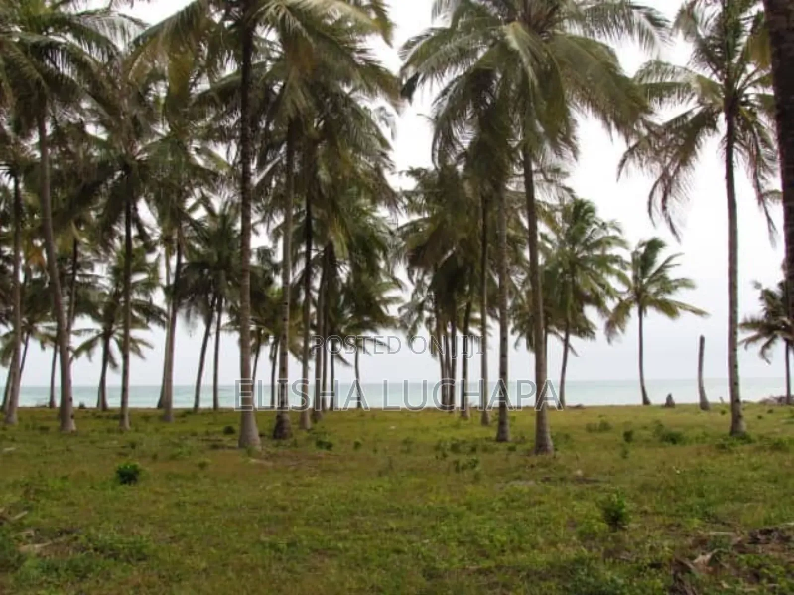Beach Plot for Sale at Gezaulole