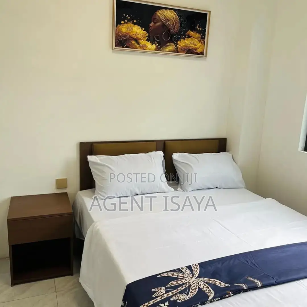 Furnished 3bdrm Apartment in Mikocheni for sale