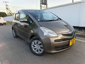 Toyota Ractis 2008 Gray