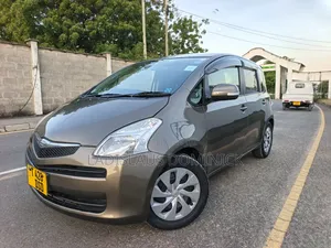 Toyota Ractis 2008 Gray