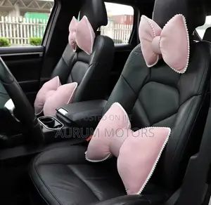 Decorative Car Pillow Set