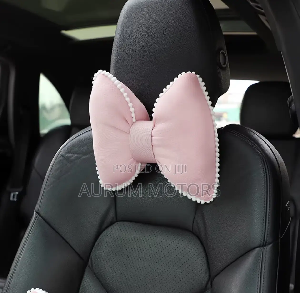Decorative Car Pillow Set