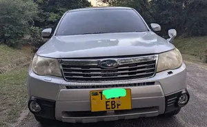 Subaru Forester 2009 Silver