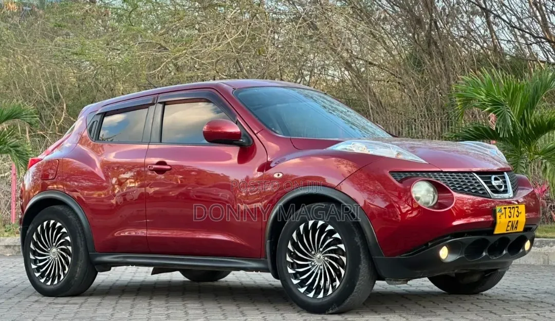 Nissan Juke 2011 Maroon