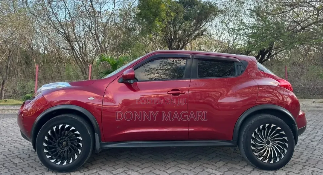 Nissan Juke 2011 Maroon