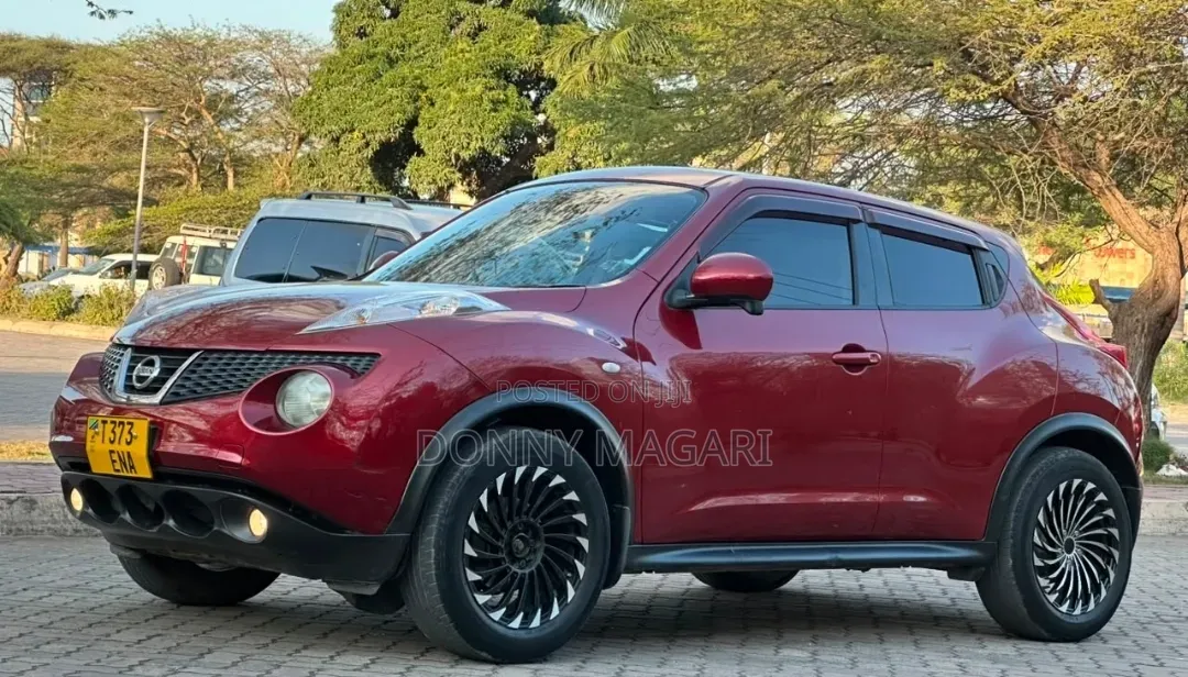 Nissan Juke 2011 Maroon