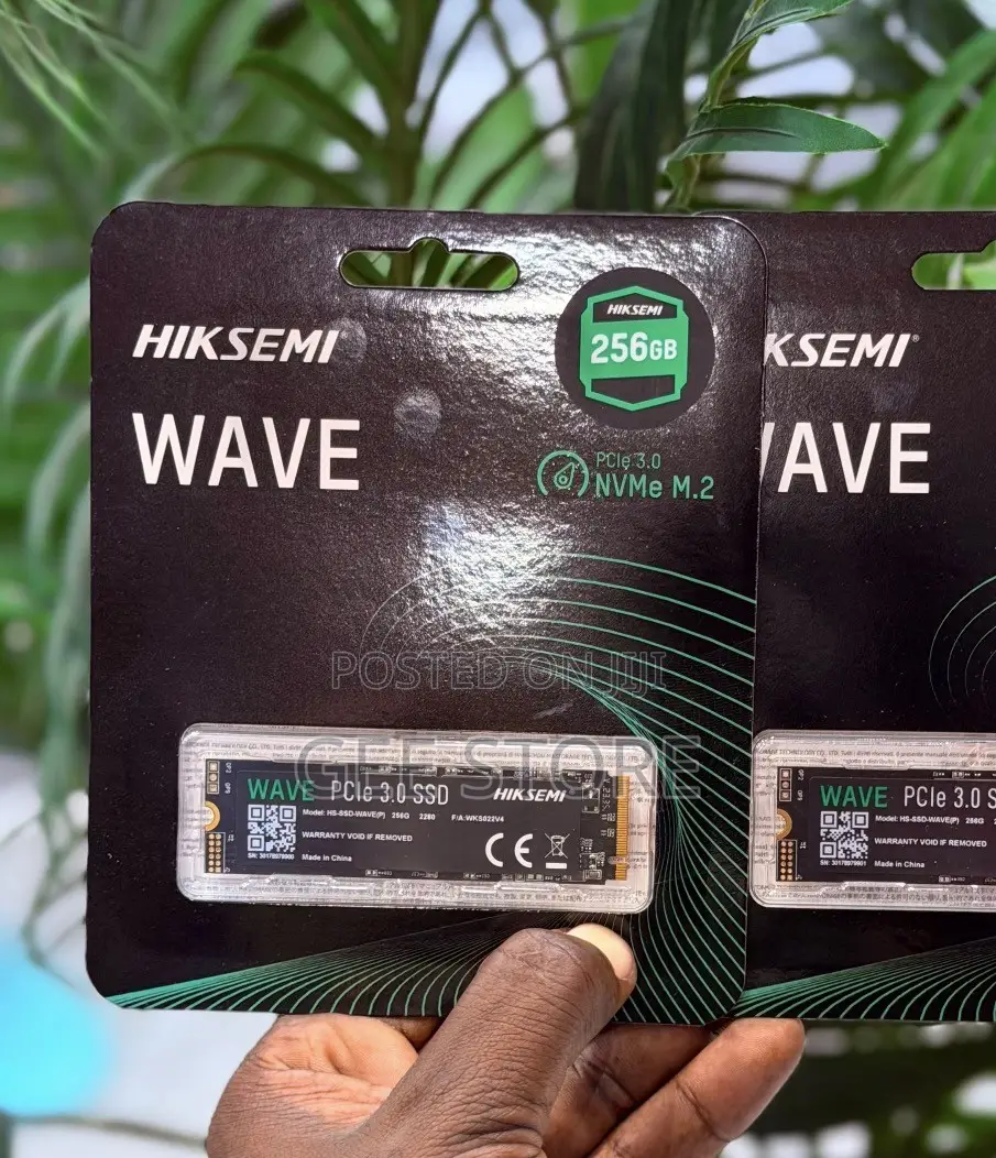 Hiksemi Wave 256GB PCIe 3.0 NVMe M.2 SSD
