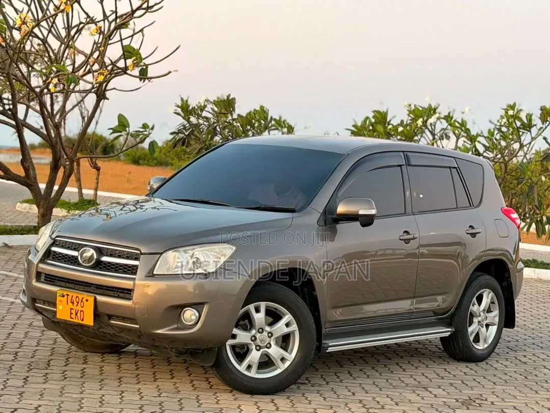 Toyota RAV4 2010 Brown