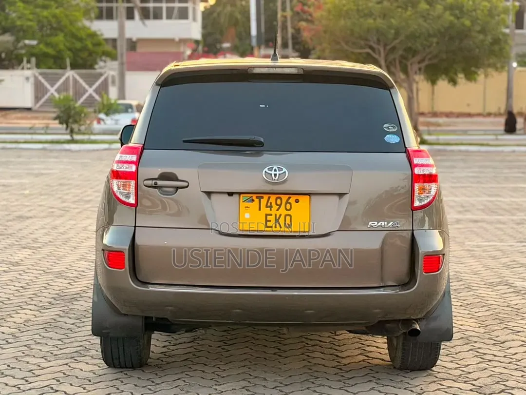 Toyota RAV4 2010 Brown