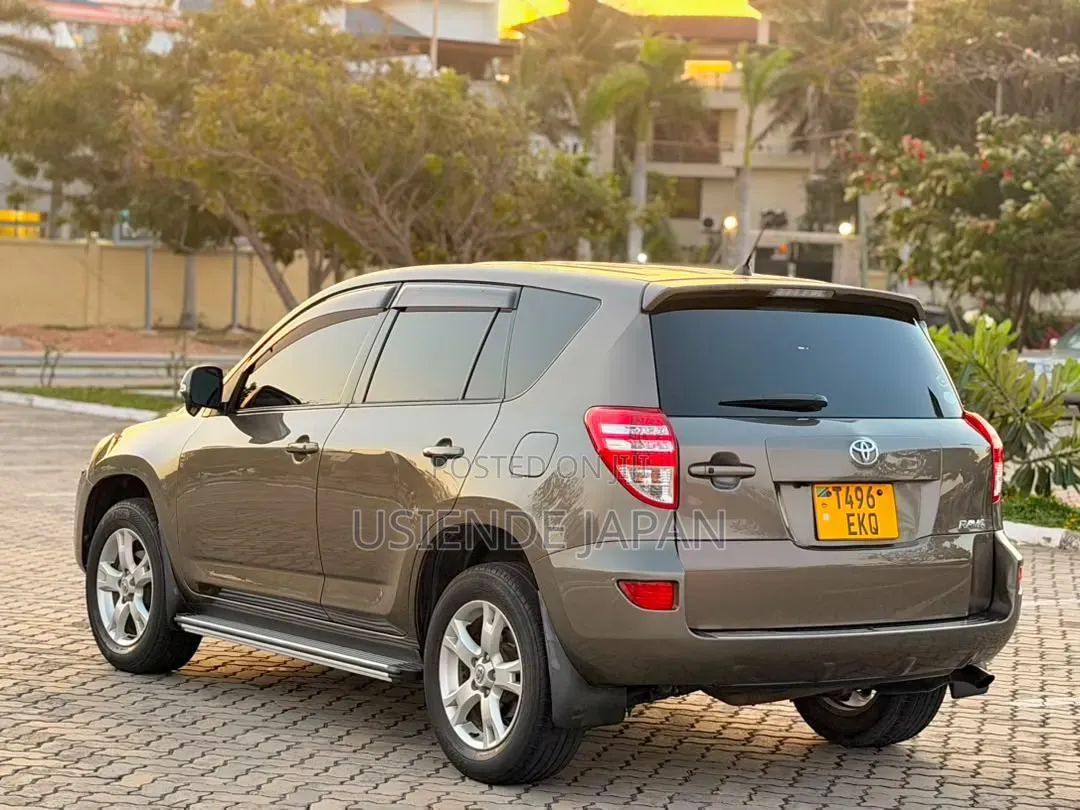 Toyota RAV4 2010 Brown