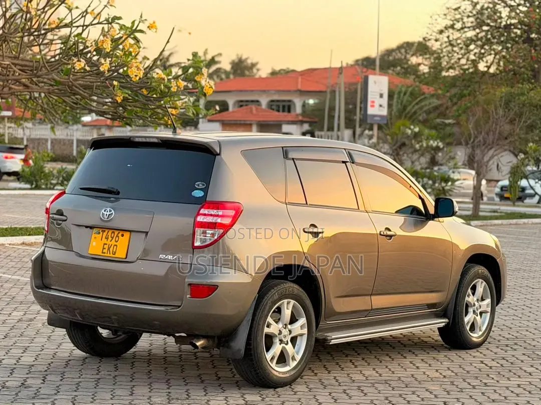 Toyota RAV4 2010 Brown