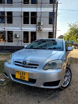 Toyota Corolla RunX 2006 Silver