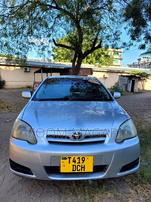 Toyota Corolla RunX 2006 Silver