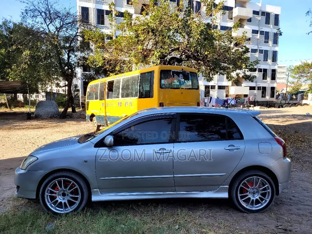 Toyota Corolla RunX 2006 Silver
