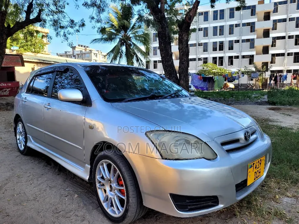 Toyota Corolla RunX 2006 Silver