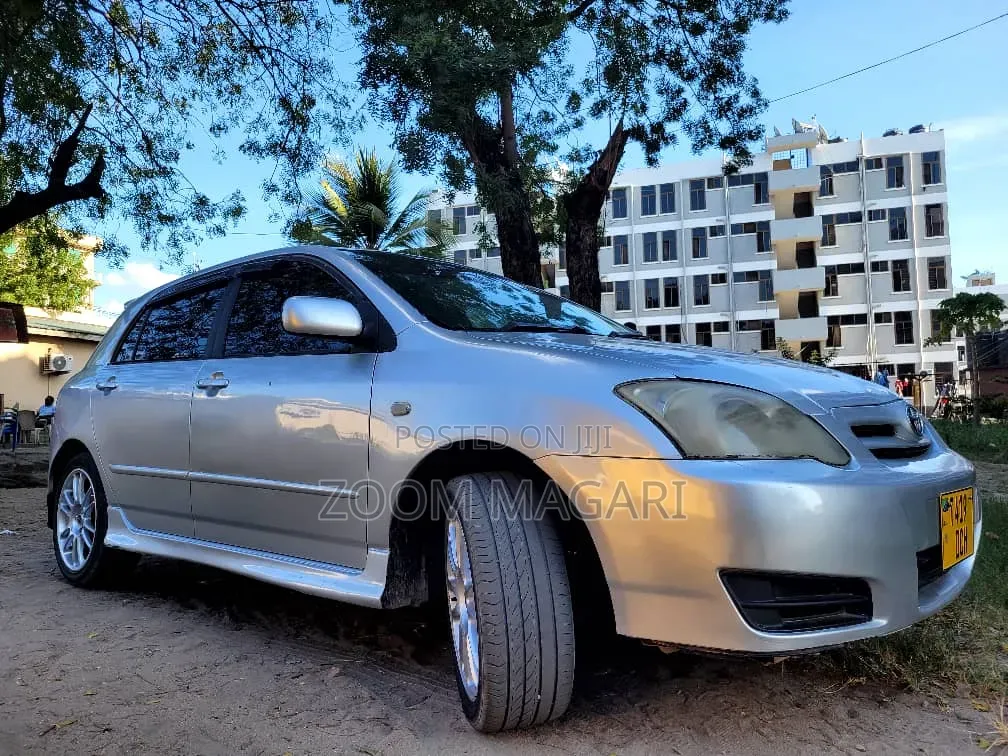 Toyota Corolla RunX 2006 Silver