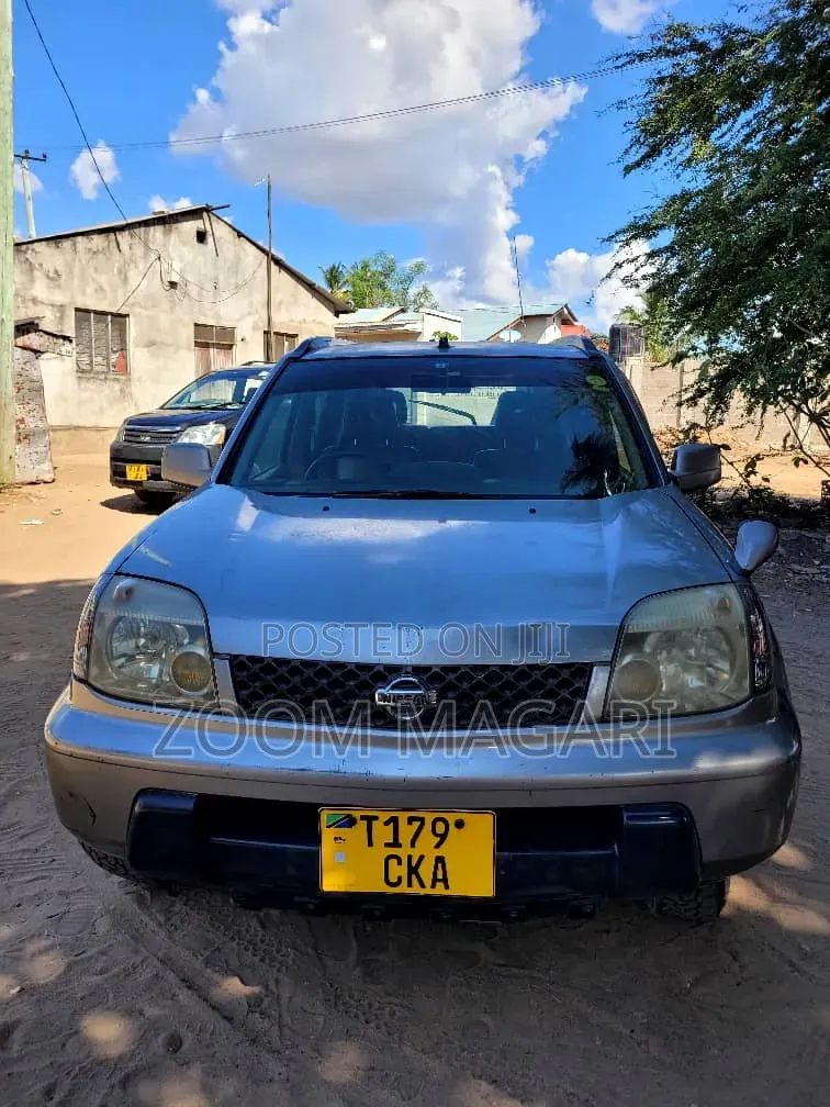 Nissan X-Trail 2004 Gray