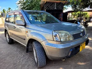 Nissan X-Trail 2004 Gray