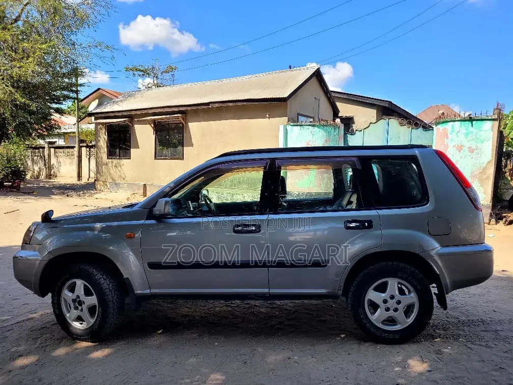 Nissan X-Trail 2004 Gray