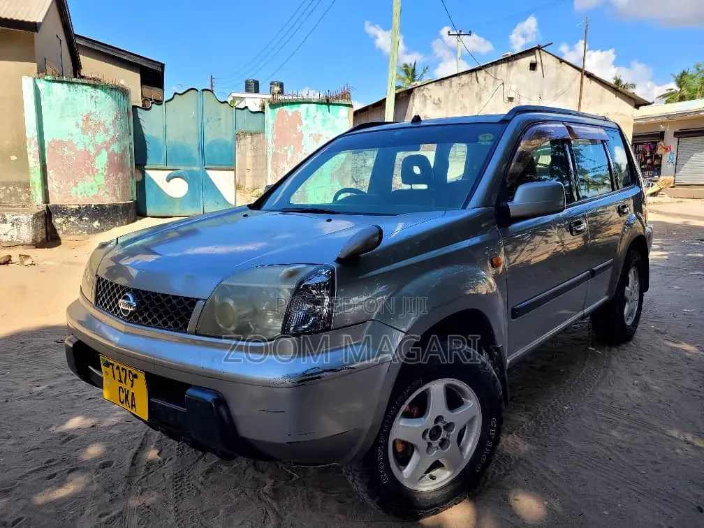 Nissan X-Trail 2004 Gray