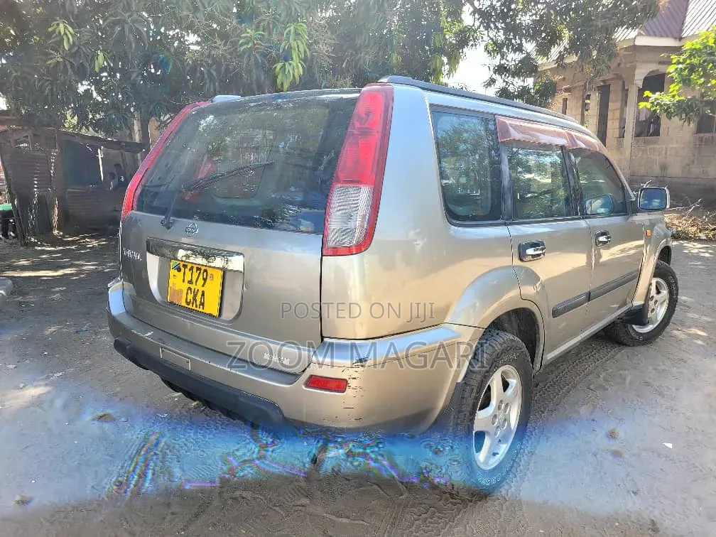 Nissan X-Trail 2004 Gray