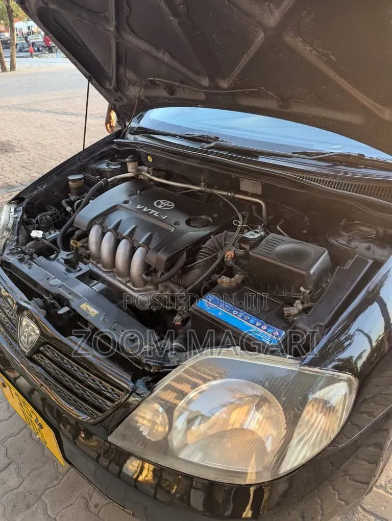 Toyota Corolla RunX 2004 Black