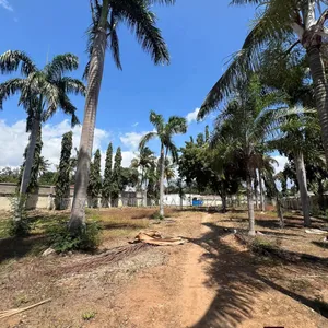 Beach Plot Area SQM 2509 for Sale Located in Mbezi Beach