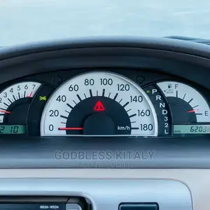 Toyota Raum 2003 Silver